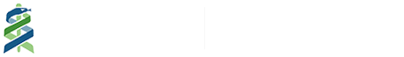 BG大游集团官方网站